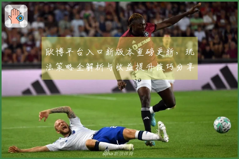 欧博平台入口新版本重磅更新，玩法策略全解析与收益提升技巧分享